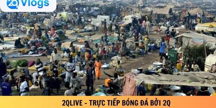 2qlive Trực tiếp bóng đá bởi 2q