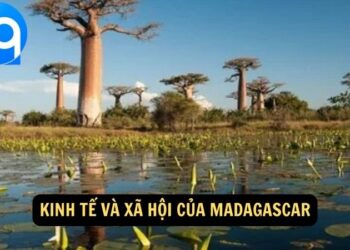 Du Lịch Madagascar cùng 2q: Trải Nghiệm Đảo Cổ Xưa Và Hệ Sinh Thái Đặc Sắc 10 Madagasca 2