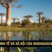 Madagasca 2