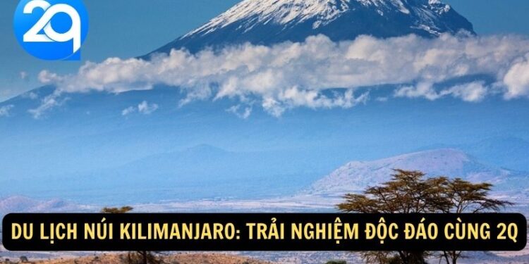 Du Lịch Núi Kilimanjaro: Trải Nghiệm Độc Đáo cùng 2q 4 Nui Kilimanjaro