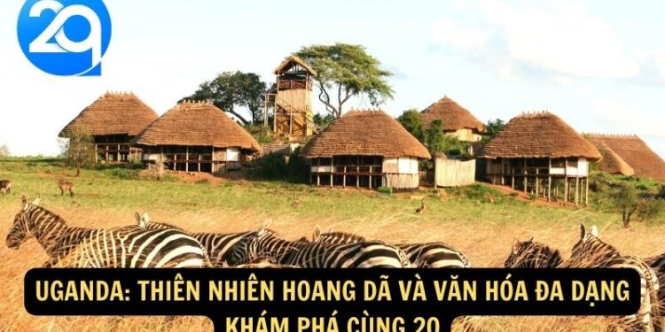 Tây Sahara: Khám Phá Sa Mạc Lớn Nhất Thế Giới với 2q 4 Uganda
