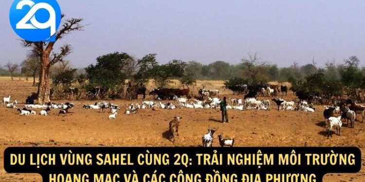 Vung Sahel