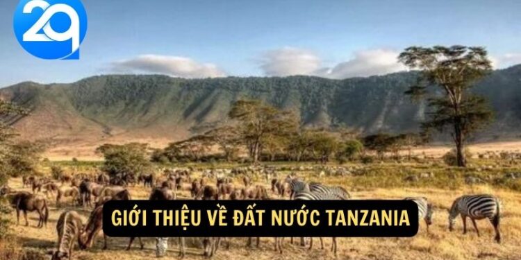 Tanzania: Thiên Nhiên Tươi Đẹp và Văn Hóa Phong Phú với 2q. 4 image