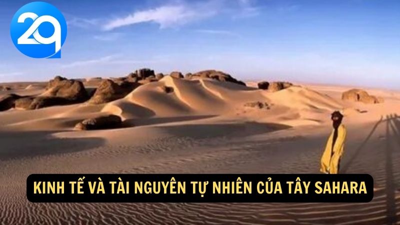 Kinh tế và tài nguyên tự nhiên của Tây Sahara