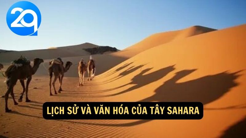 Lịch sử và văn hóa của Tây Sahara