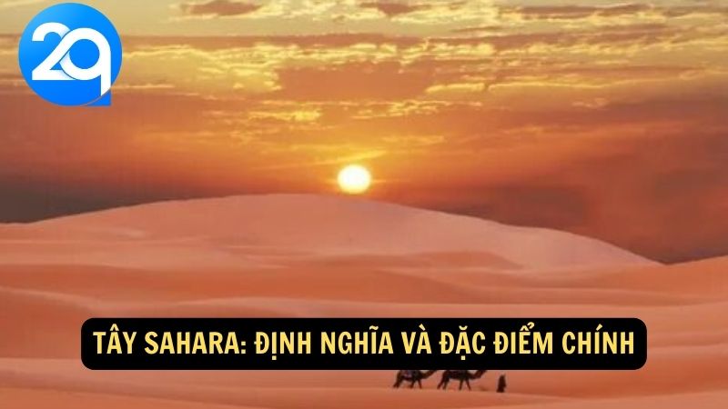 Tây Sahara: Định nghĩa và đặc điểm chính