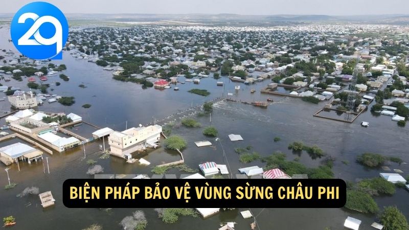 Biện pháp bảo vệ vùng sừng Châu Phi