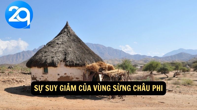 Sự suy giảm của vùng sừng Châu Phi