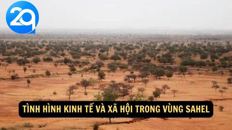 Tình hình kinh tế và xã hội trong vùng Sahel