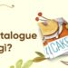 Catalogue Là Gì? Cách Tạo Catalogue Hiệu Quả Cho Doanh Nghiệp 8 Catalogue La Gi