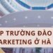 Top Trường Đào Tạo Marketing Ở Hà Nội Hàng Đầu 8 Top truong dao tao marketing o Ha Noi