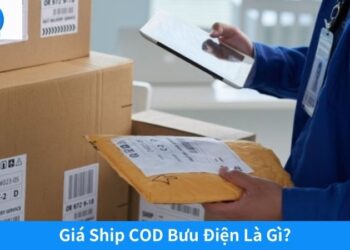 2Q – Giá Ship COD Bưu Điện: Nhanh chóng, tiết kiệm