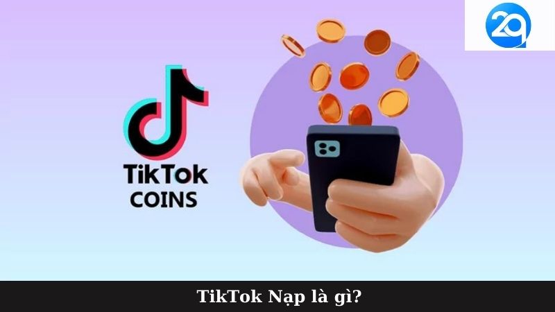 tiktok nap (1)