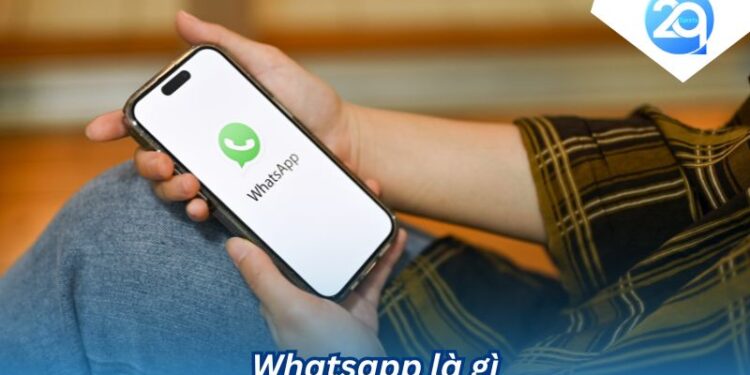 whatsapp la gi (4)
