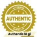 Authentic là gì? 4 Authentic là gì?