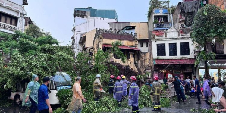 Bão Yagi Hủy Diệt Hà Nội, Cây Đổ La Liệt, Có Thương Vong