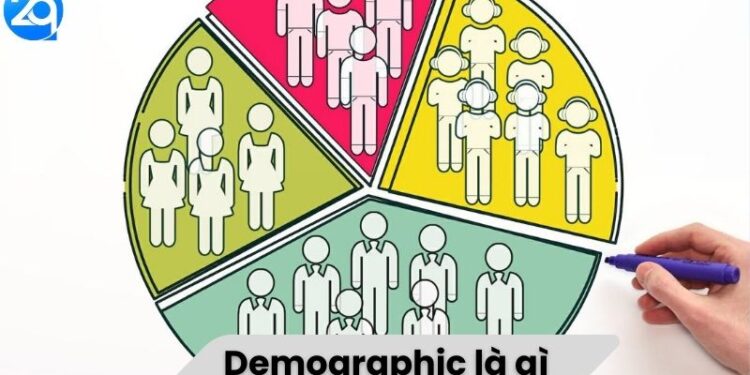 Demographic là gì? 2 Demographic là gì?