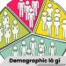 Demographic là gì? 4 Demographic là gì?