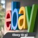 eBay là gì? 4 eBay là gì?