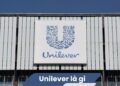 Unilever là gì?