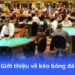 Kèo Bóng Đá - Soi kèo đỉnh cao, cược thắng dễ dàng 4 gioi-thieu-ve-keo-bong-da