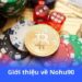 Nohu90 - Bí quyết chiến thắng dễ dàng 4 gioi-thieu-ve-nohu90