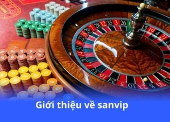 gioi-thieu-ve-sanvip