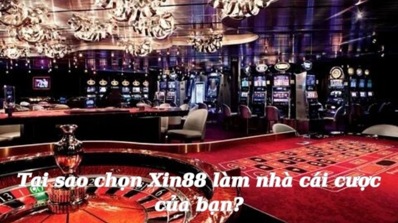 Xin88 - Trải nghiệm cá cược đỉnh cao, thắng lớn mỗi ngày 3 tai-sao-chon-xin88-lam-nha-cai-cuoc-cua-ban?