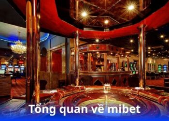 tong-quan-ve-mibet