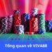 tong-quan-ve-viva88